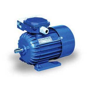 AC motor / single-phase / asynchronous / 230V