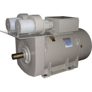 AC motor / three-phase / synchronous / 1000V