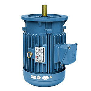 asynchronous motor / three-phase / 600V / vertical