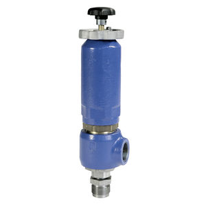 threaded safety valve