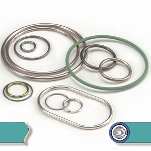 lipped seal / spring-loaded / O-ring / profiled