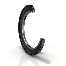 lip seal / C-ring / elastomer