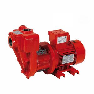 diesel fuel pump / electric / self-priming / rotary vane