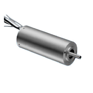 DC motor / brushless / 24V / small