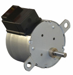 DC motor / stepper / 100 V / squirrel cage