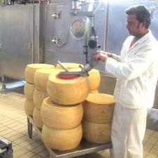 pneumatic manipulator / with gripping tool / cheese / positioning