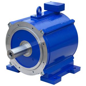 AC electric torque motor / synchronous
