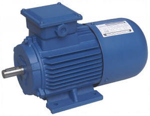 DC motor / induction / 100 V / squirrel cage