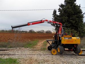 self-propelled crane / rail / light / all-terrain