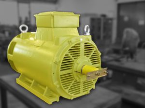 asynchronous motor / low-voltage / squirrel cage / 690 V