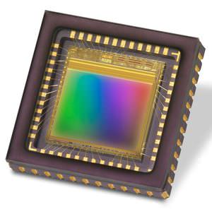 CMOS image sensor / full-color / low-light