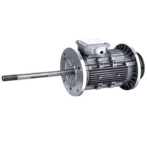 AC motor / three-phase / asynchronous / 220 V