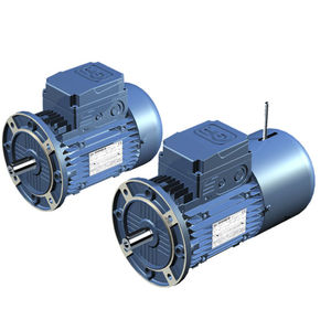 AC motor / three-phase / asynchronous / 12V
