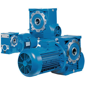 orthogonal electric gearmotor / worm / hollow-shaft