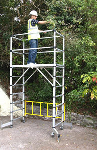 mobile scaffolding / modular / facade