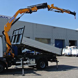 truck-mounted crane / top-slewing / hydraulic / lifting