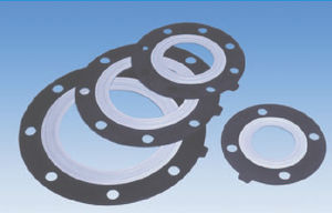 flat seal / ring lip / PTFE