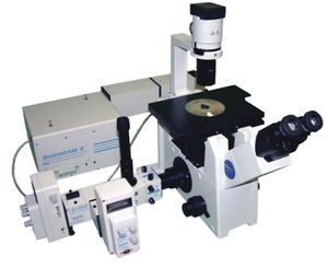 fluorescence microscope / measurement / inverted / LED illumination