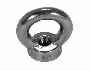 hoist ring