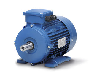asynchronous electric brake motor / three-phase