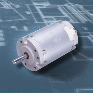 DC motor / brushed / 24V / 12V