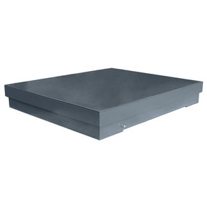 platform weighing scale / with separate indicator