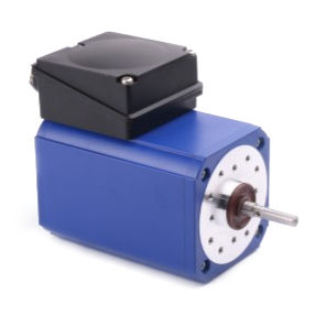 AC motor / induction / 24V / 48V