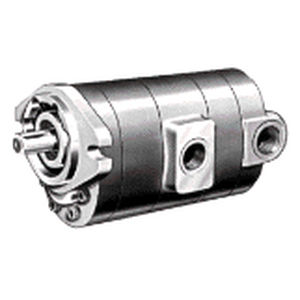 gear hydraulic pump