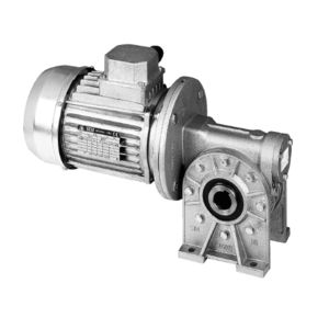 DC gearmotor / AC / orthogonal / worm