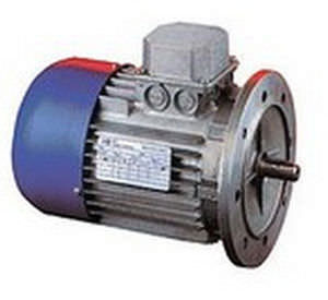asynchronous electric brake motor / three-phase / 100 V