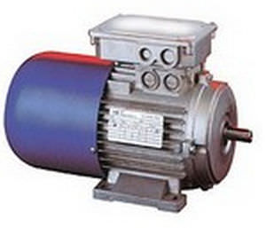 asynchronous electric brake motor / three-phase / 100 V