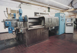 annealing furnace / belt conveyor / tunnel / gas-fired