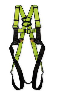 safety harness / dorsal fixation point