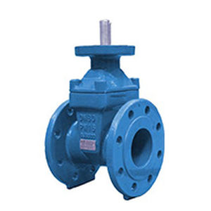 gate valve / for potable water / flange / cast iron