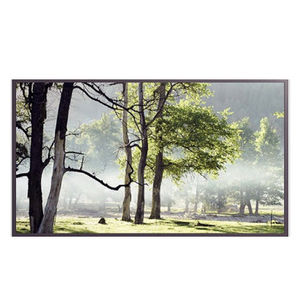 LCD monitor / LED backlight / digital / 55