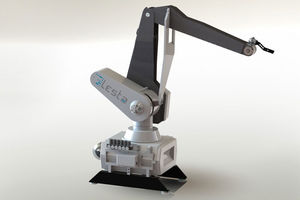 articulated robot / 6-axis / paint / industrial