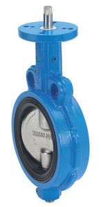 butterfly valve / for liquid food products and beverages / wafer / cast iron