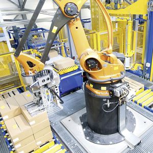 robotic palletizer and depalletizer / carton / automatic