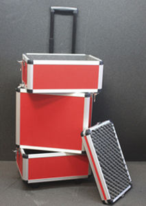 transport case / aluminum / for tools / with foam