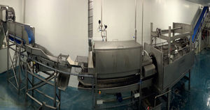 fish skinning machine