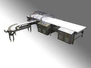 belt conveyor / feeder / horizontal / general purpose
