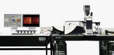 3D confocal microscope 50-70 nm | TCS STED LEICA MICROSYSTEMS