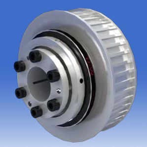 Torque Limiter With Sprocket Wheel Sk Series R W Coupling Technology