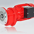 asynchronous electric gearmotor / electric spur - 90 - 550 W, IP 54 | ODG 30/60