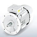 asynchronous electric motor - 0.06 - 132 kW, 500 - 3 000 rpm | IEC
