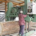 band saw / horizontal / automatic / double-column - max. Ø 1650 mm