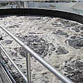 biological wastewater treatment plant - BioSphere™ MBBR / IFAS