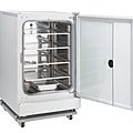CO2 incubator - 200 l, +5 °C ... +55 °C | In-VitroCell ES NU-5820