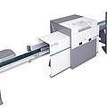 cross-cut saw / circular / automatic - C11 series