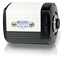 FireWire camera / IEEE 1394 / for microscopy - 2048 x 2048 pix | Retiga-4000R
